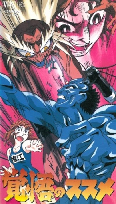 ն���߾���������