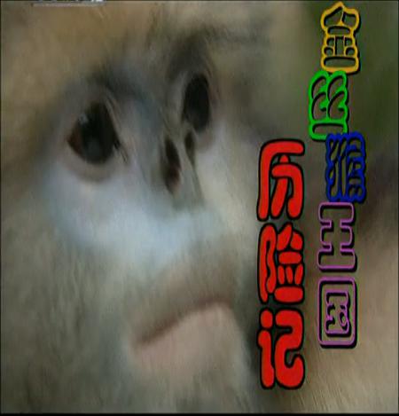 ��˿���������ռǾ������