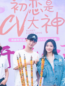 ������cv���������