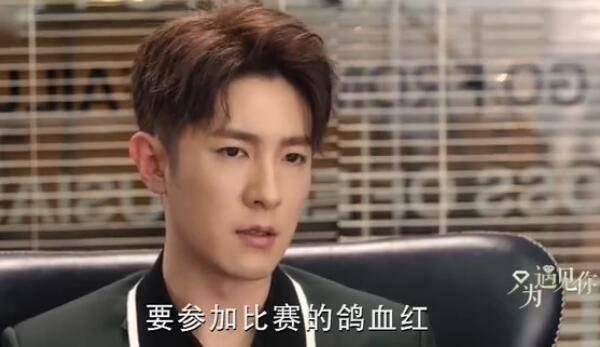 ֻΪ������ּ��������(1-53��)����_���Ӿ�