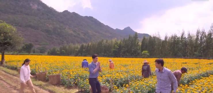 ����֮���ּ��������(1-11��)����_���Ӿ�