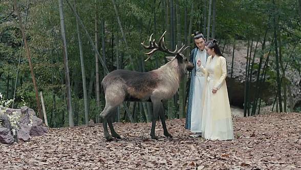 ��ҡ�ּ��������(1-66��)����