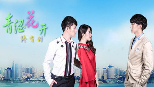 青涩花开终有时分集剧情介绍(1-20集)大结局