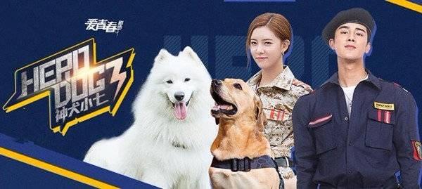 ��ȮС��3�ּ��������(1-43��)����_���Ӿ�