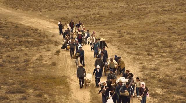 ɽ����ּ��������(1-24��)����_���Ӿ�