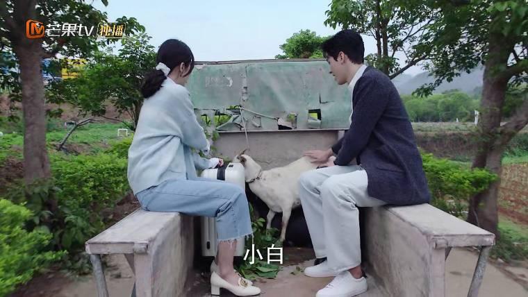 �ӽ�鿪ʼ�����ּ��������(1-35��)����_���Ӿ�