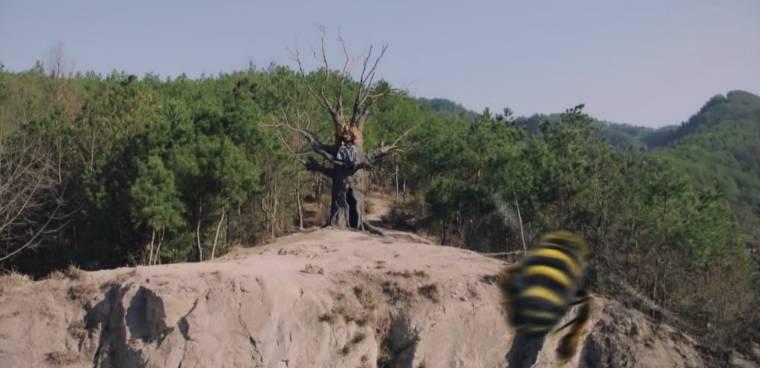 ������ի�ּ��������(1-24��)����_���Ӿ�