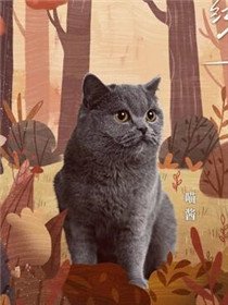 ������������Ա��_ȫ����Ա�������