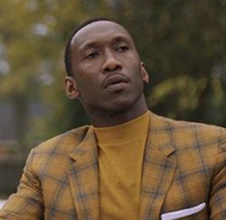 ��Ƥ����Ա��_ȫ����Ա�������_��Ӱ