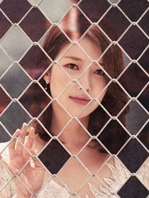 ���������������Ա��_ȫ����Ա�������