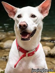 �ֲ�Ů����Ա��_ȫ����Ա�������