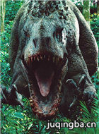 ٪�޼�������Ա��_ȫ����Ա�������_��Ӱ