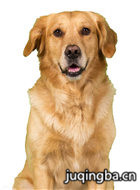 ��Ӱ��Ȯ��Ӫ����Ա��_ȫ����Ա�������_��Ӱ