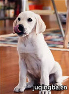 ��ӰС����ƿ��Ա��_ȫ����Ա�������_��Ӱ