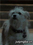 ��Ӱ��ѩ������Ա��_ȫ����Ա�������_��Ӱ