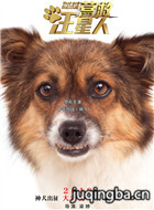 ��ӰӪ����������Ա��_ȫ����Ա�������_��Ӱ