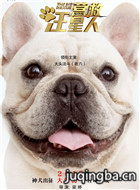 ��ӰӪ����������Ա��_ȫ����Ա�������_��Ӱ