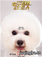 ��ӰӪ����������Ա��_ȫ����Ա�������_��Ӱ