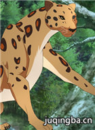 ����è������Ա��_ȫ����Ա�������_��Ӱ