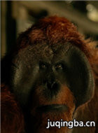 ��������3���ռ�֮ս��Ա��_ȫ����Ա�������_��Ӱ