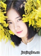 �����ߵĴ���ʦ��Ա��_ȫ����Ա�������