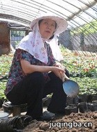 ��尮���������Ա��_ȫ����Ա�������