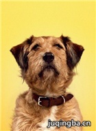 ��Ӱħ����ʦ��Ա��_ȫ����Ա�������_��Ӱ