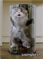 ��Ӱ��������Ա��_ȫ����Ա�������_��Ӱ