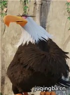 ��Ӱ��ŭ��С����Ա��_ȫ����Ա�������_��Ӱ