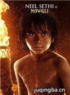 ���ɭ����Ա��_ȫ����Ա�������_��Ӱ