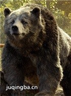 ���ɭ����Ա��_ȫ����Ա�������_��Ӱ