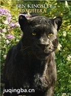 ���ɭ����Ա��_ȫ����Ա�������_��Ӱ