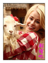 ��ũ����Ա��_ȫ����Ա�������