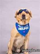 ��ȮС����Ա��_ȫ����Ա�������