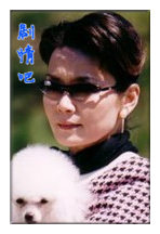 ˫���ع���Ա��_ȫ����Ա�������