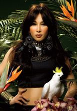 K����������Ա��_ȫ����Ա�������