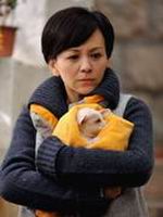 ����������Ա��_ȫ����Ա�������