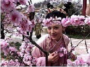 ����Ա��_ȫ����Ա�������